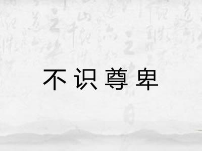 不识尊卑