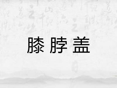 膝脖盖