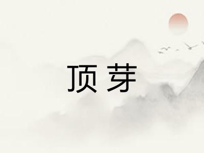 顶芽