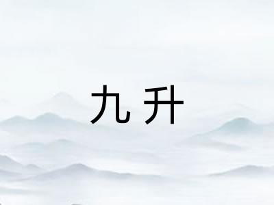 九升