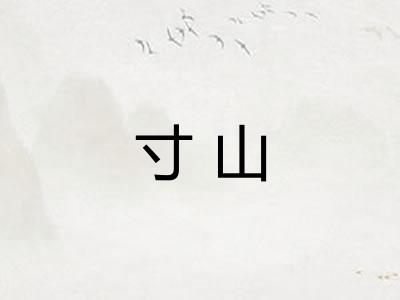 寸山