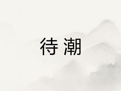 待潮