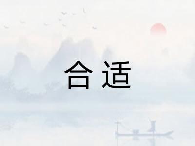 合适