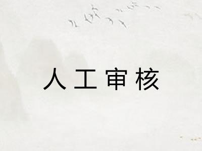 人工审核