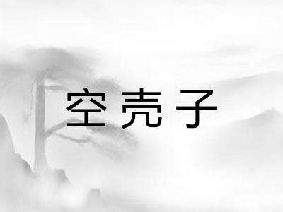 空壳子