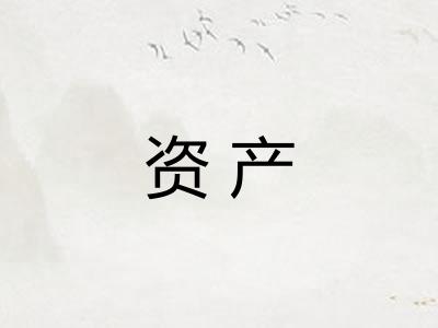 资产