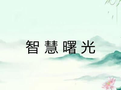 智慧曙光