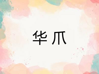 华爪
