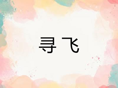 寻飞