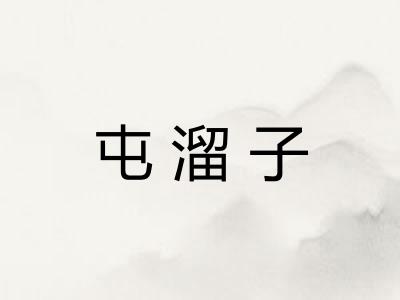 屯溜子