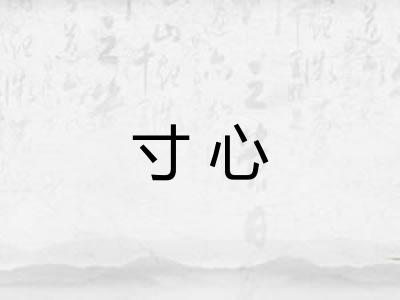 寸心