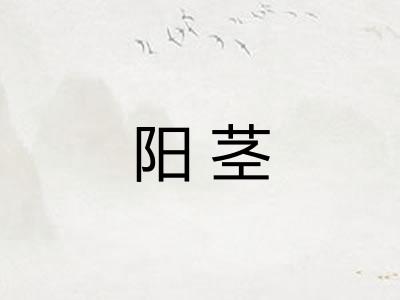 阳茎