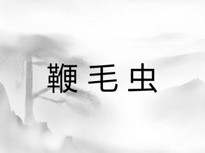 鞭毛虫
