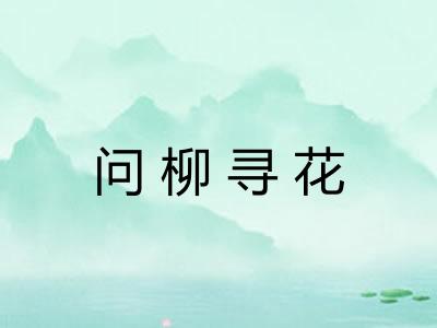 问柳寻花
