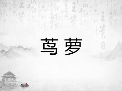 茑萝