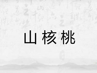 山核桃