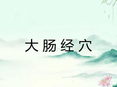 大肠经穴