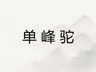 单峰驼