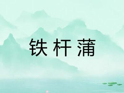 铁杆蒲