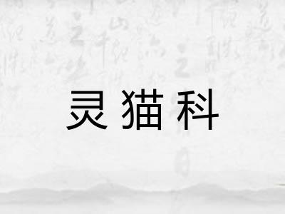 灵猫科