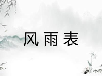 风雨表