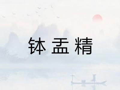 钵盂精
