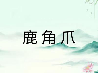 鹿角爪