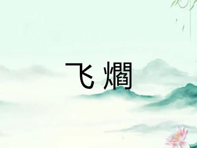 飞爓
