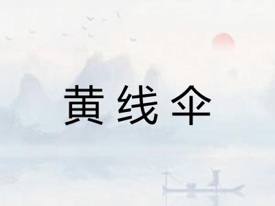 黄线伞
