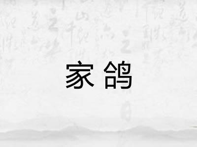家鸽