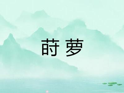 莳萝