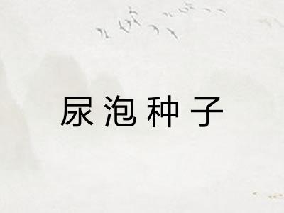 尿泡种子