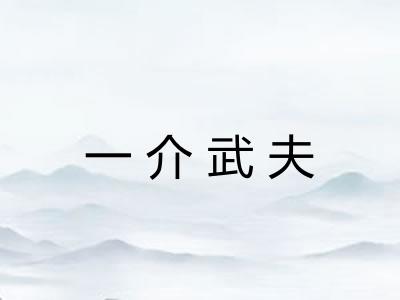 一介武夫