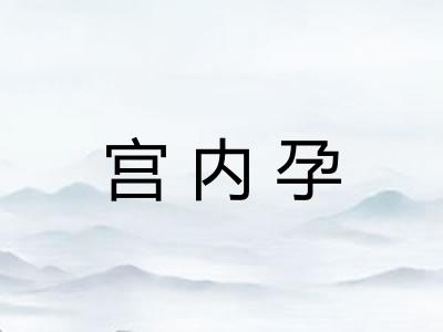 宫内孕