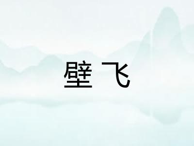 壁飞