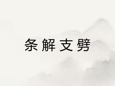 条解支劈