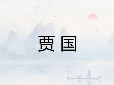 贾国