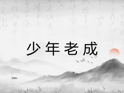少年老成