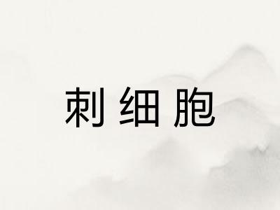 刺细胞