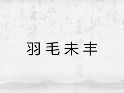 羽毛未丰