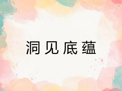 洞见底蕴