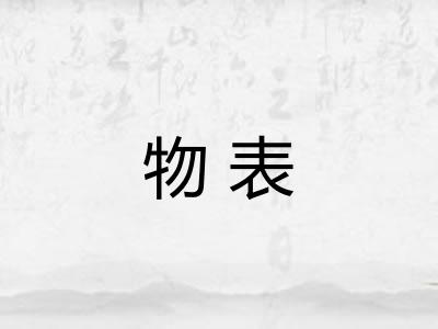 物表