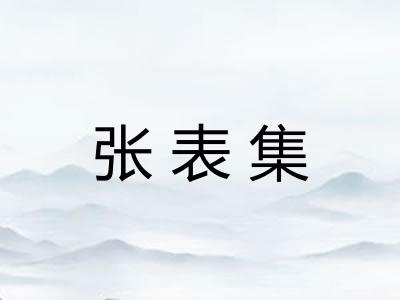 张表集