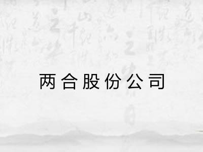 两合股份公司
