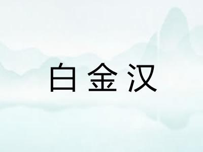 白金汉