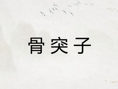 骨突子