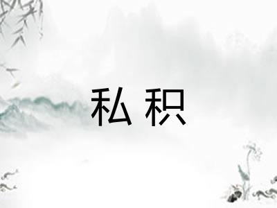 私积