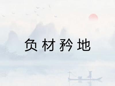 负材矜地