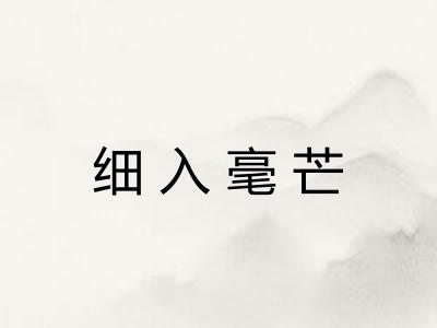 细入毫芒