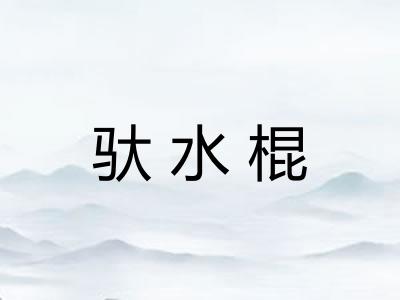 驮水棍